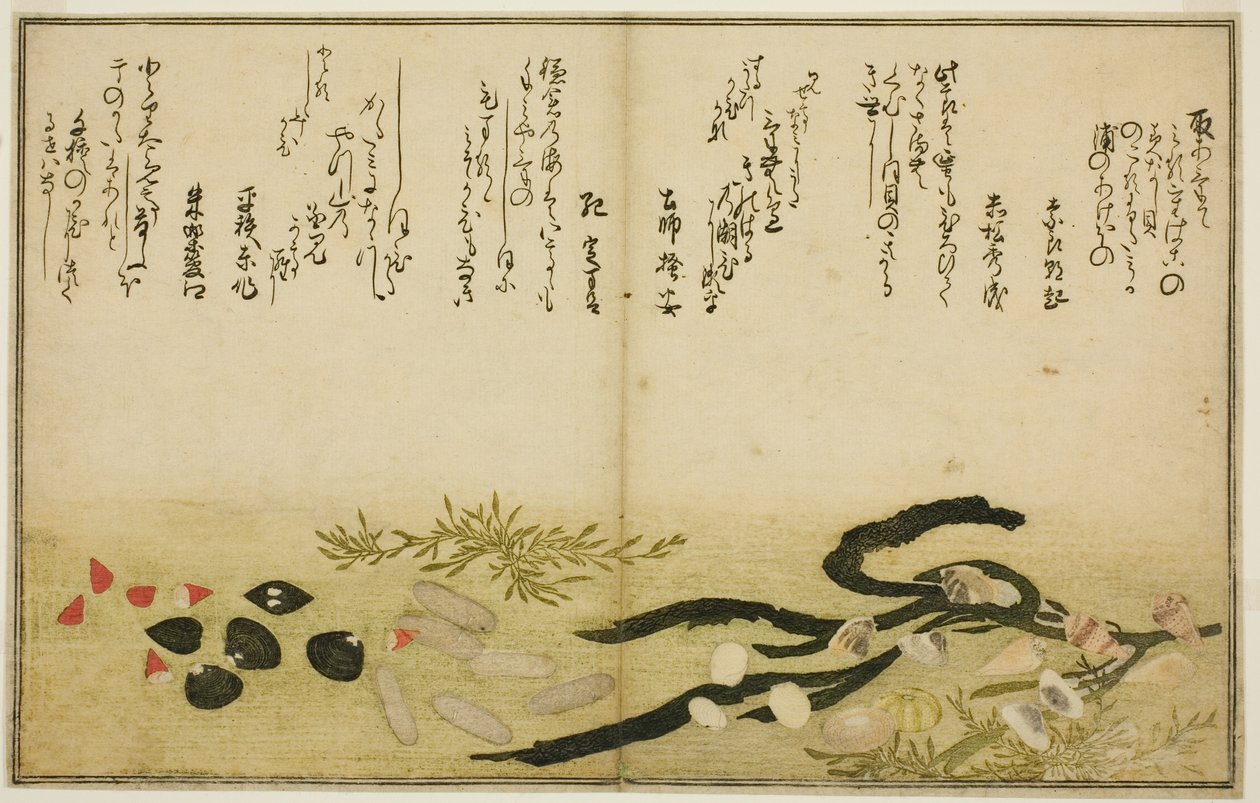 Minashi-gai, shio-gai, katatsu-gai, miso-gai, chijimi-gai e chigusa-gai, dal libro illustrato "Regali dalla marea calante (Shiohi no tsuto)" da Kitagawa Utamaro
