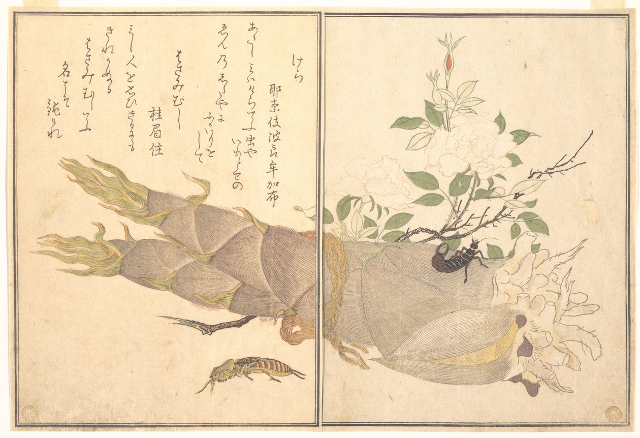 Grillo talpa (Kera); Forbicina (Hasami-mushi), tratto dal libro illustrato “Ehon mushi erami” (Il libro illustrato degli insetti striscianti) da Kitagawa Utamaro