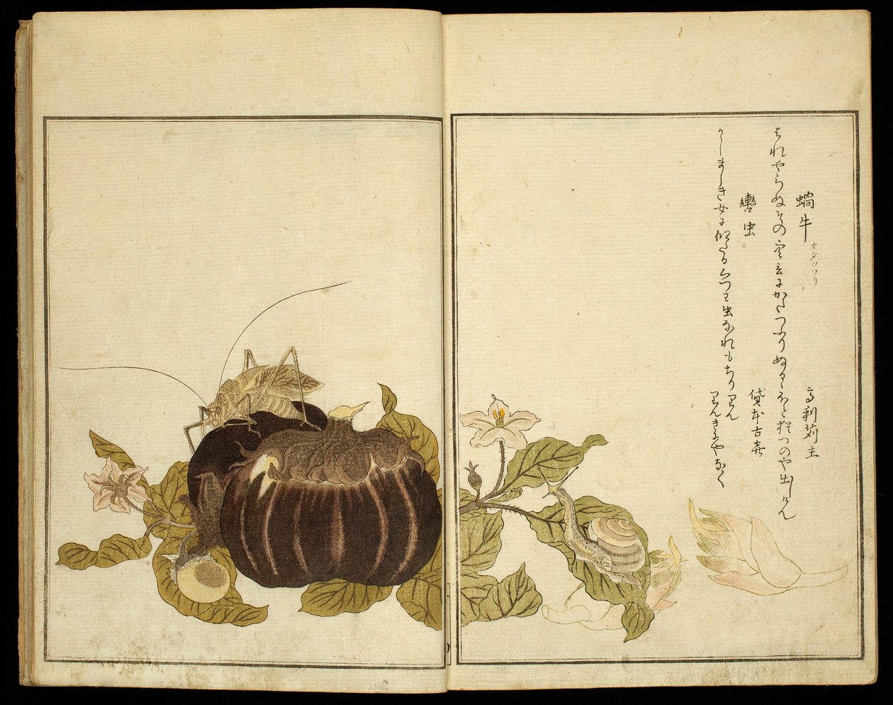 Libro illustrato: Insetti selezionati (Ehon mushi erabi) da Kitagawa Utamaro