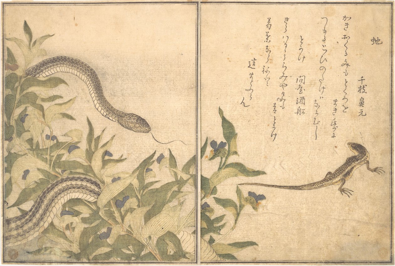 Serpente ratto (Hebi); lucertola o scinco (Tokage), dal Libro illustrato delle creature striscianti (Ehon mushi erami) da Kitagawa Utamaro