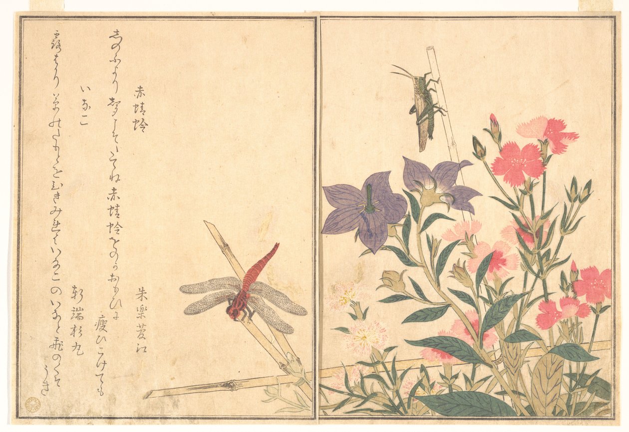 Libellula rossa (Akatonbo); Locuste (Inago), tratto dal libro illustrato “Ehon mushi erami” (Il libro illustrato degli insetti striscianti) da Kitagawa Utamaro
