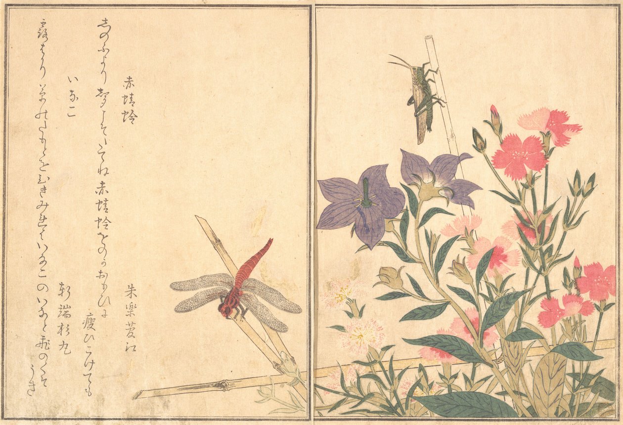 Libellula rossa Akatonbo, locusta Inago..., 1788 da Kitagawa Utamaro