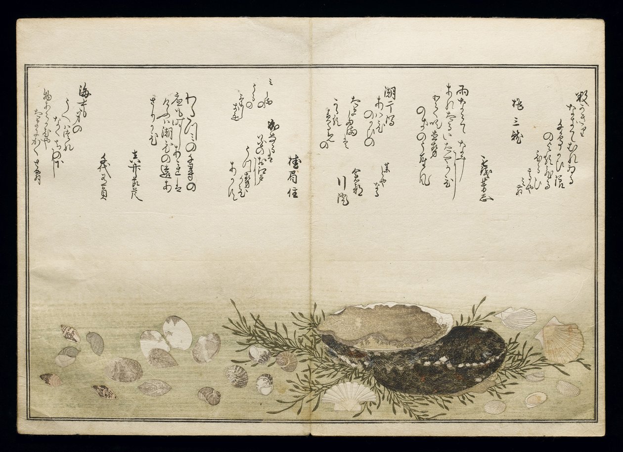 Shiohi no tsuto (Regali dalla marea calante), noto come il Libro delle Conchiglie, 1789 da Kitagawa Utamaro