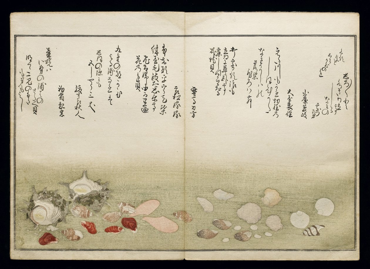 Shiohi no tsuto (Regali dalla marea calante), noto come il Libro delle Conchiglie, 1789 da Kitagawa Utamaro