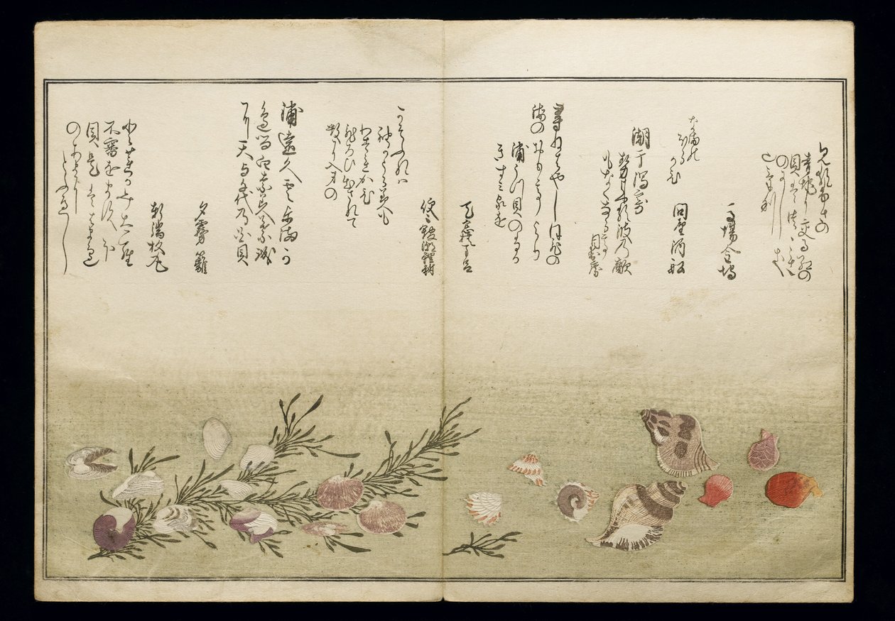 Shiohi no tsuto (Regali dalla marea calante), noto come il Libro delle Conchiglie, 1789 da Kitagawa Utamaro