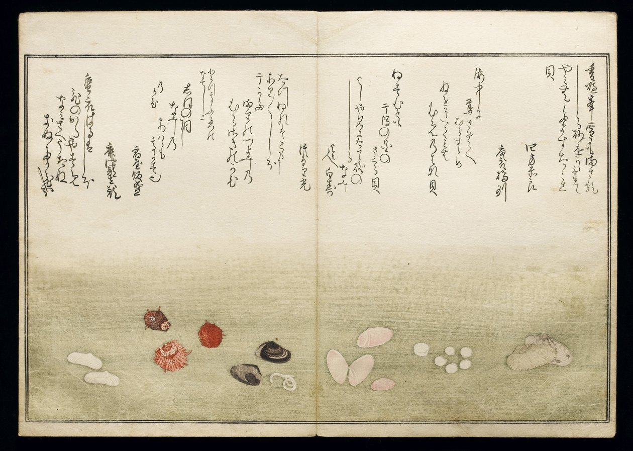 Shiohi no tsuto (Regali dalla marea calante), noto come il Libro delle Conchiglie, 1789 da Kitagawa Utamaro