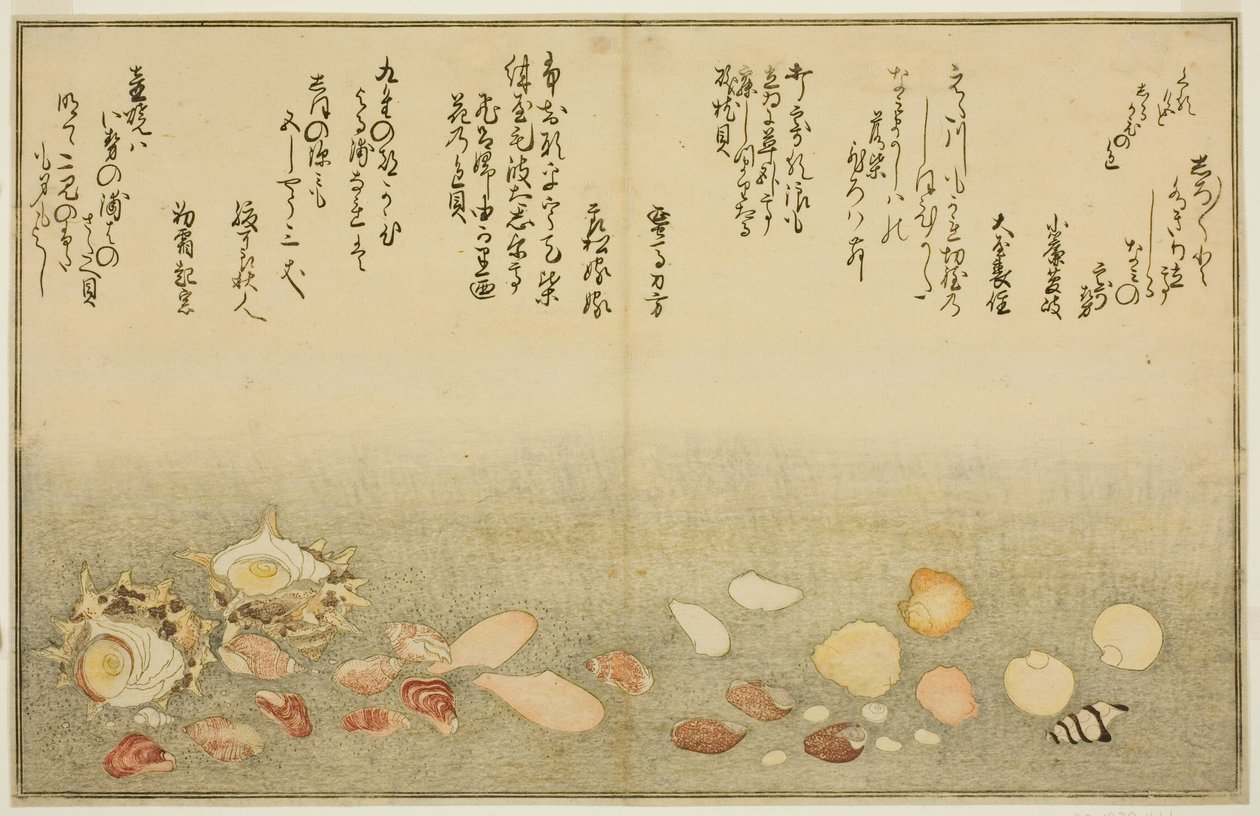 Shiro-gai, namima-gashiwa, makura-gai, iro-gai, aza-gai, sadae-gai, dal libro illustrato "Regali dalla marea calante (Shiohi no tsuto)" da Kitagawa Utamaro