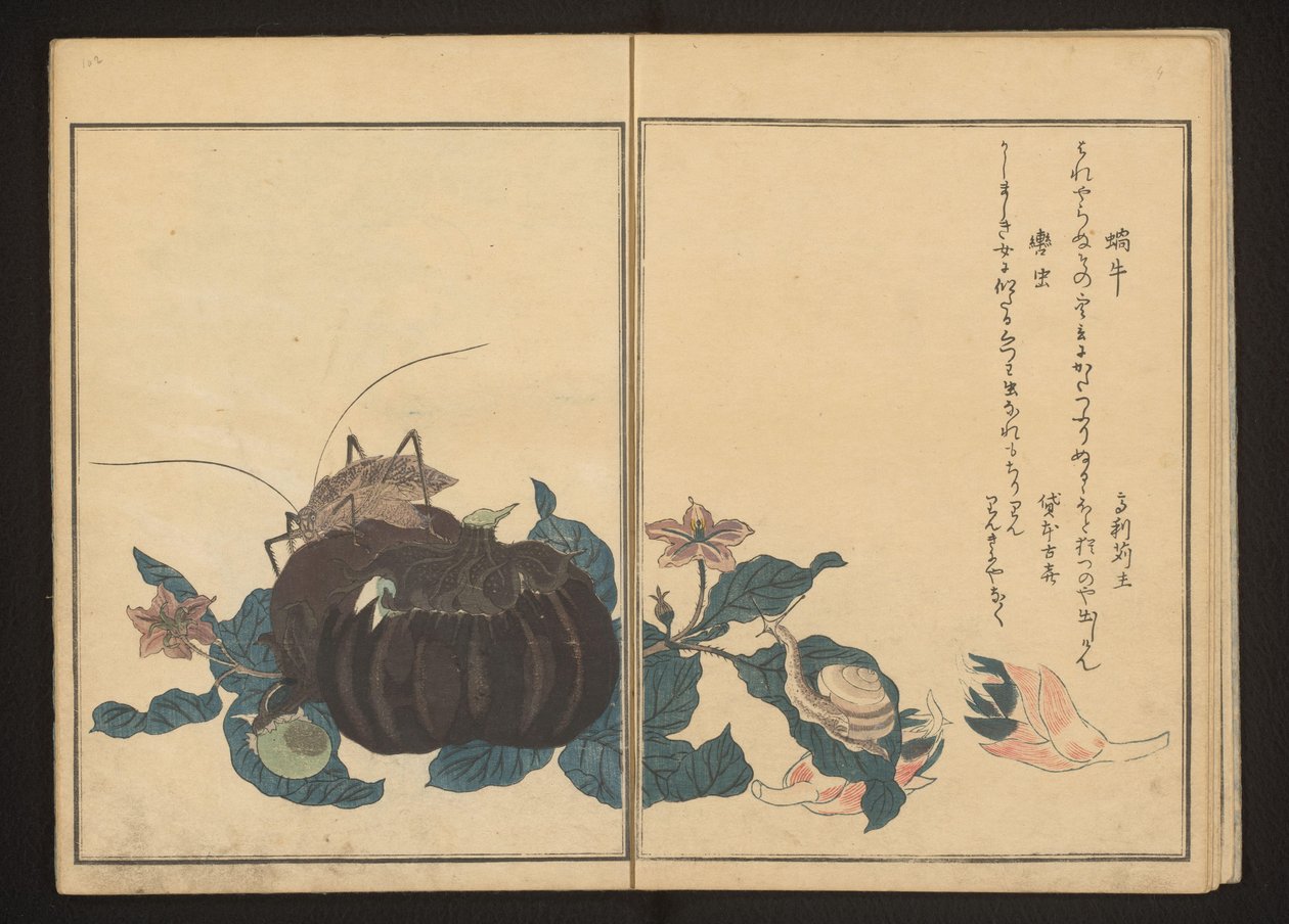 Lumaca e grillo rumoroso su melanzana da Kitagawa Utamaro