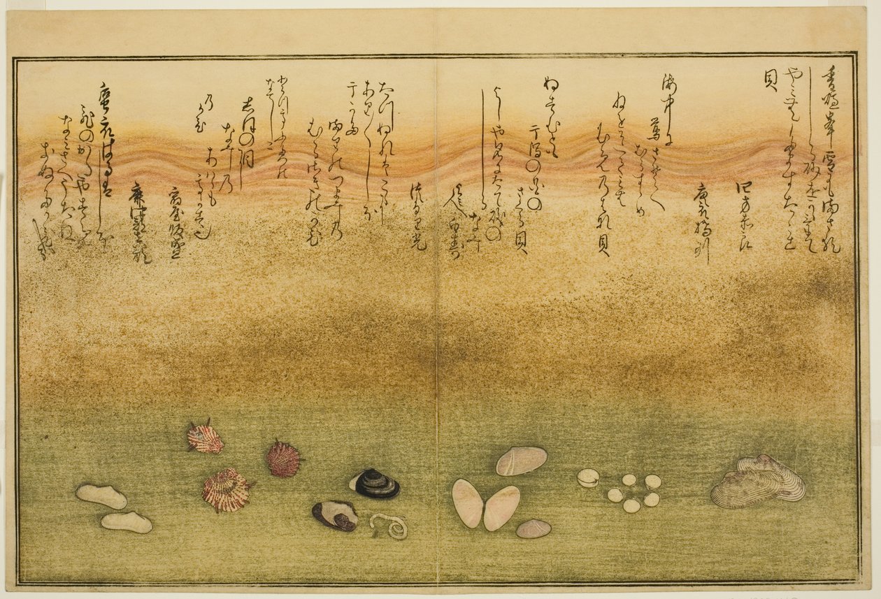 Sudare-gai, hana-gai, sakura-gai, mumeno-gai, nadeshiko-gai e kinuta-gai, dal libro illustrato "Regali dalla marea calante" da Kitagawa Utamaro