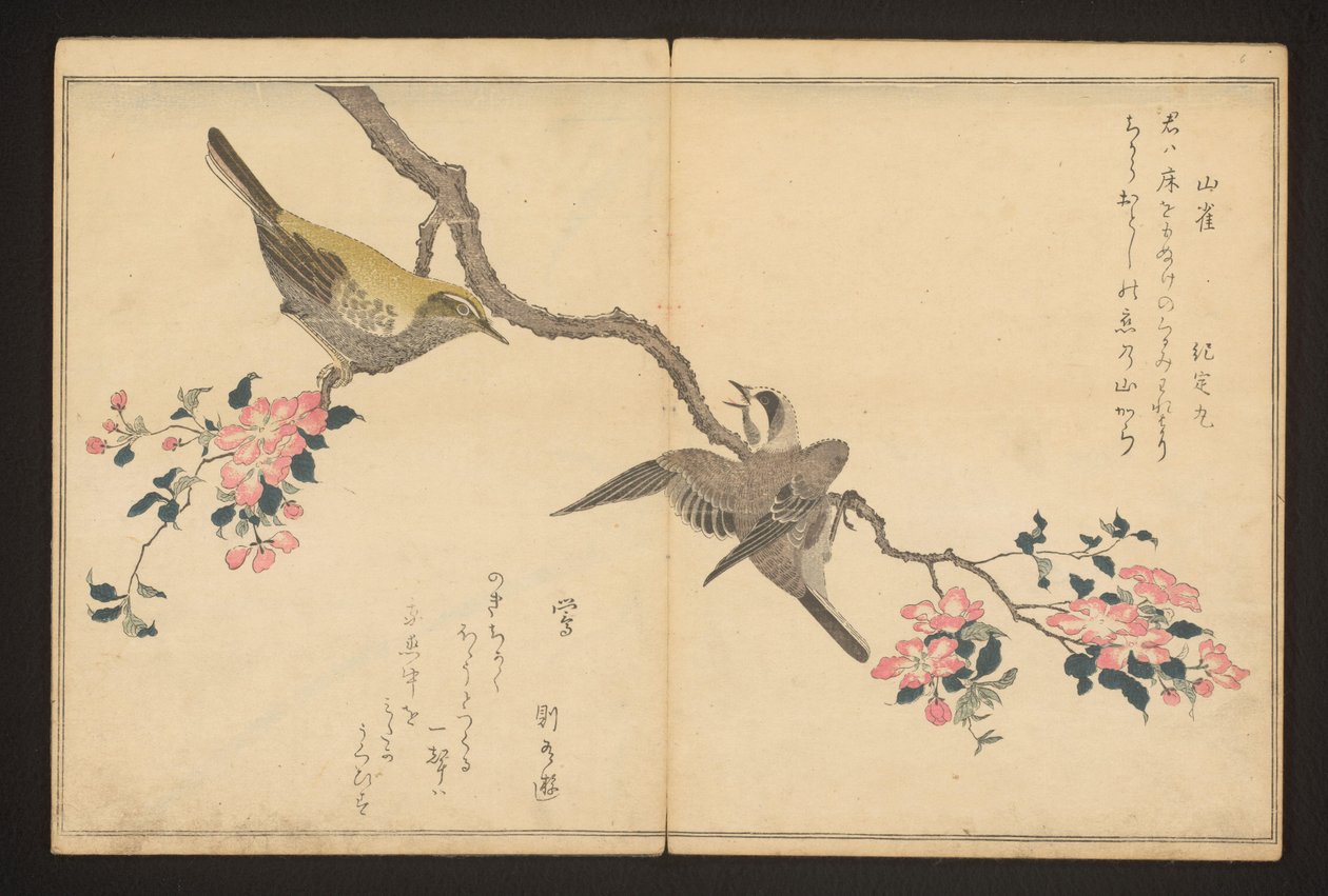 Cincia e usignolo da Kitagawa Utamaro