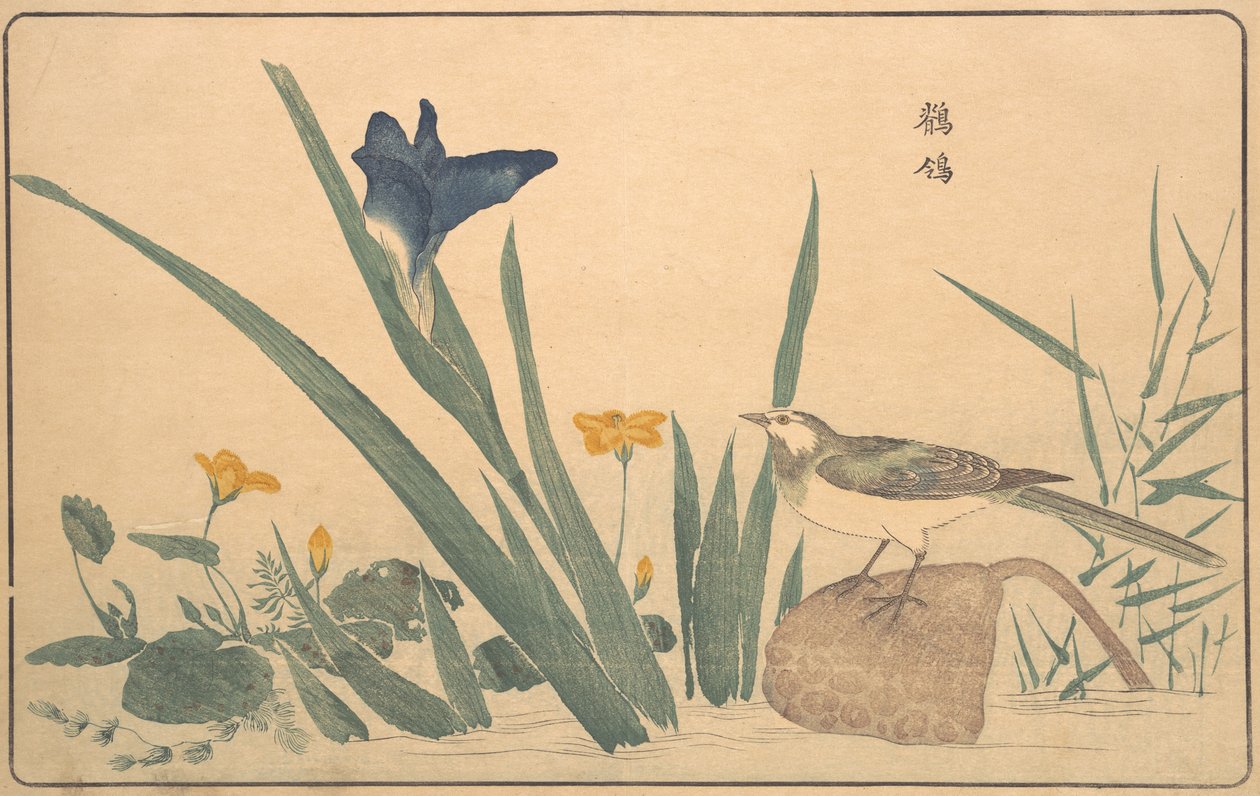 La ballerina bianca da Kitao Masayoshi