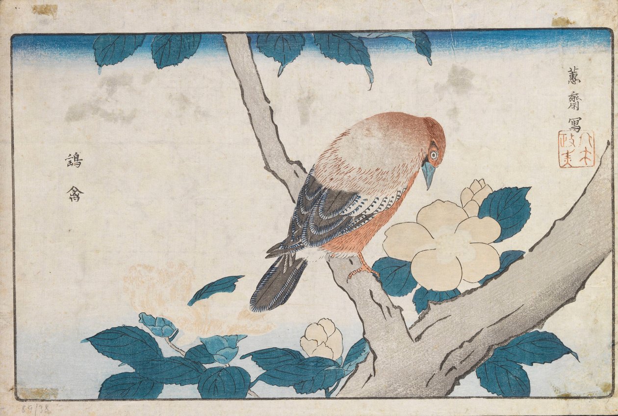 Senza titolo da Kitao Masayoshi