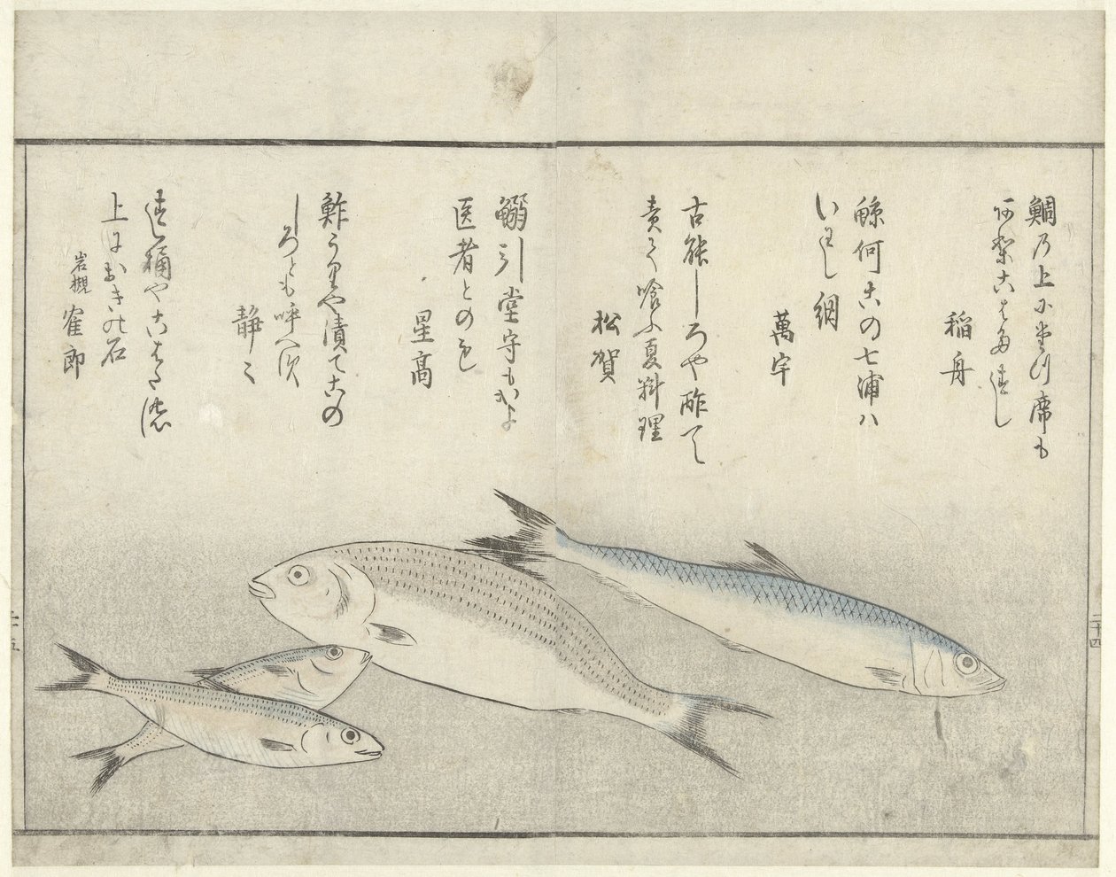 Quattro pesci da Kitao Masayoshi