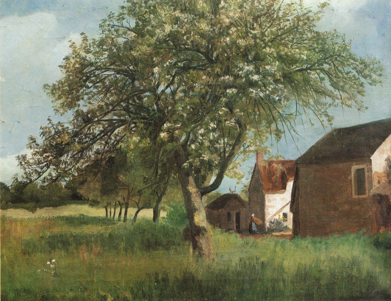 Albero in fiore a Cernay-la-Ville da Kitty Lange Kielland