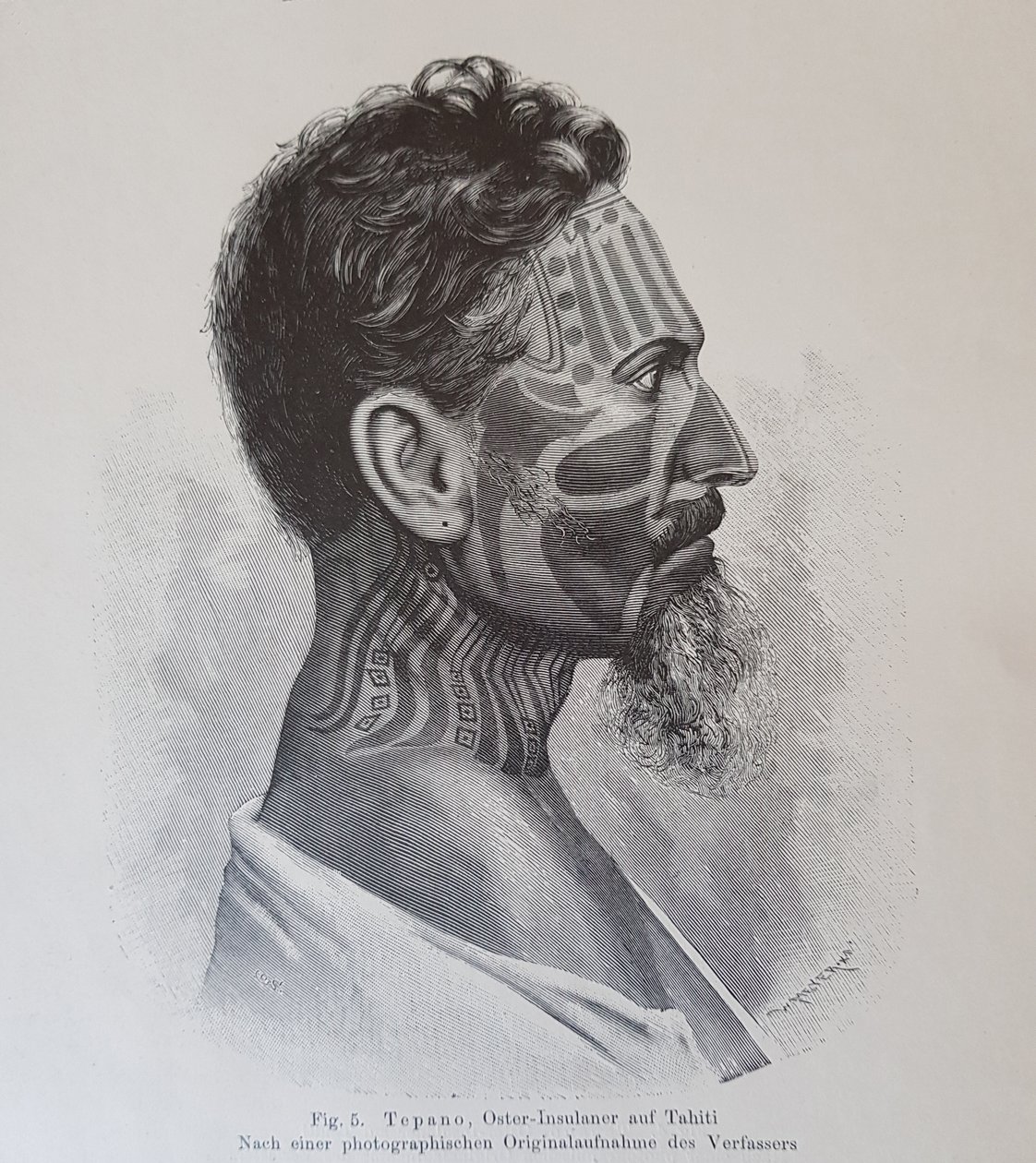 Juan Tepano, illustrazione da 