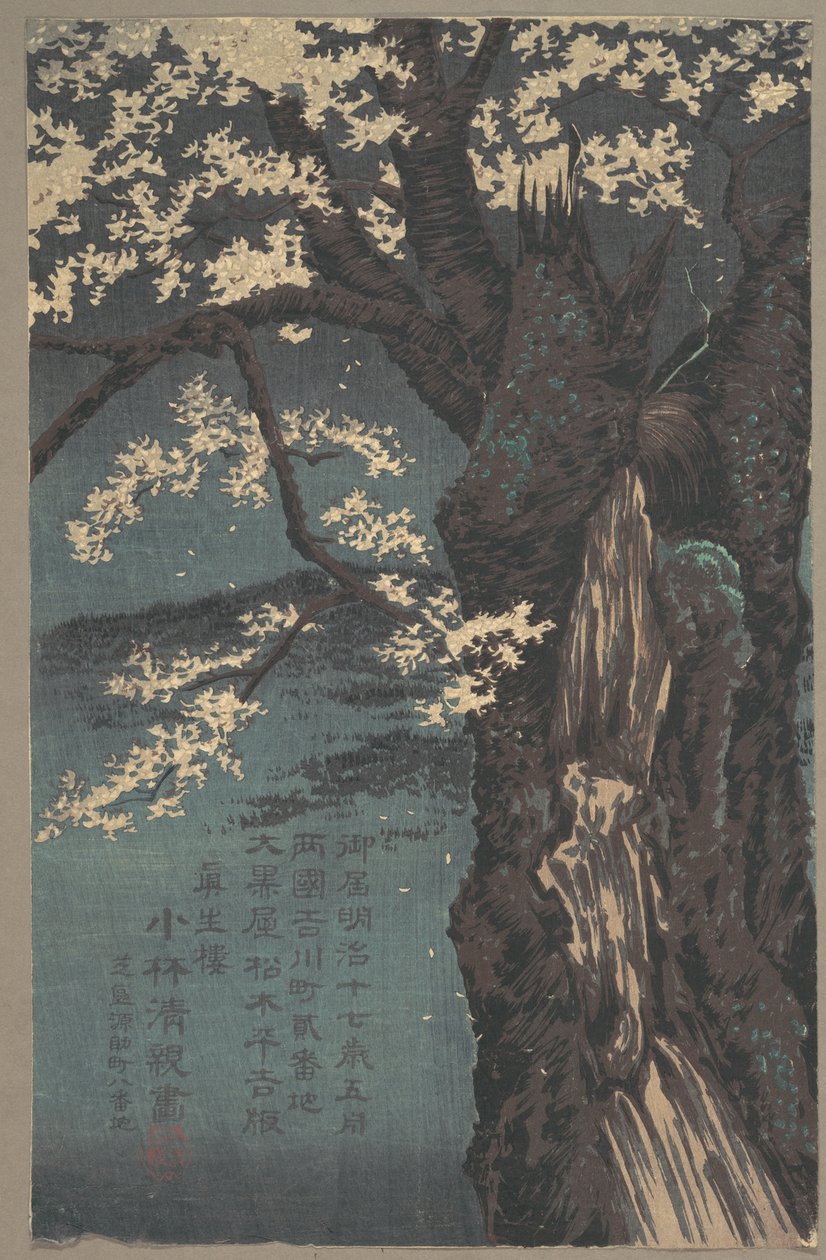 Ciliegio da Kobayashi Kiyochika