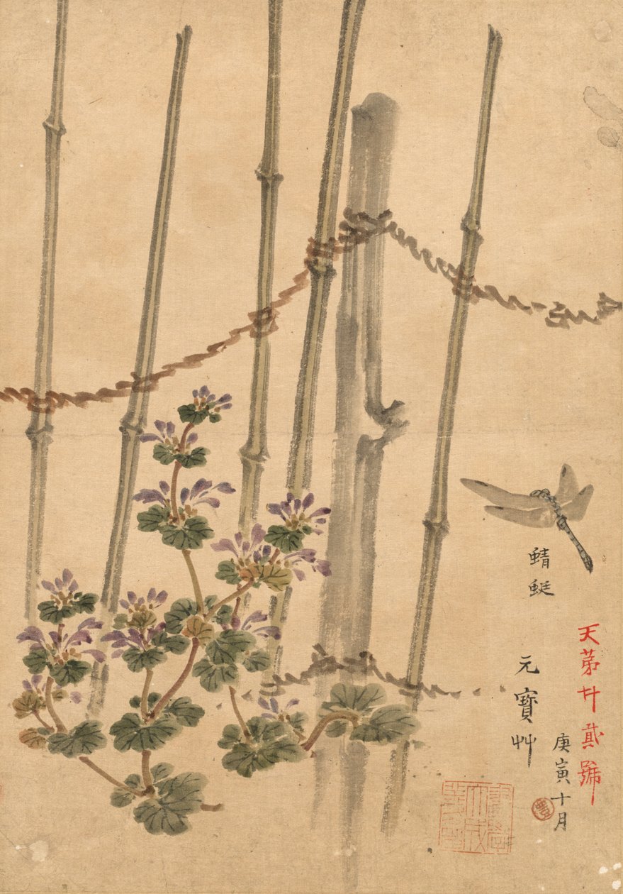 Recinto di bambù e crisantemi, c. 1890 da Kono Bairei