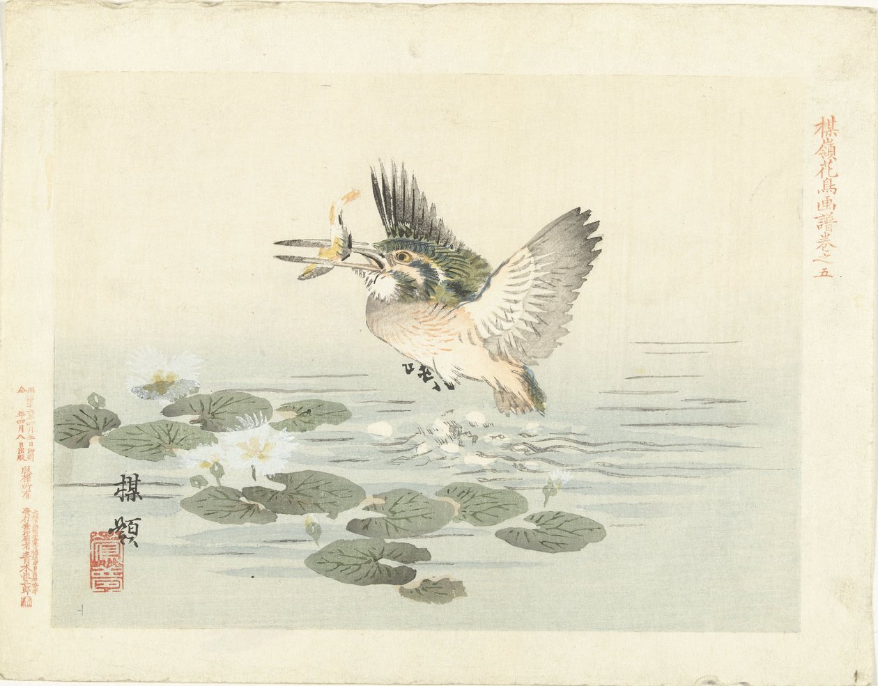 Martin pescatore (serie: Schizzi di fiori e uccelli di Bairei) da Kono Bairei