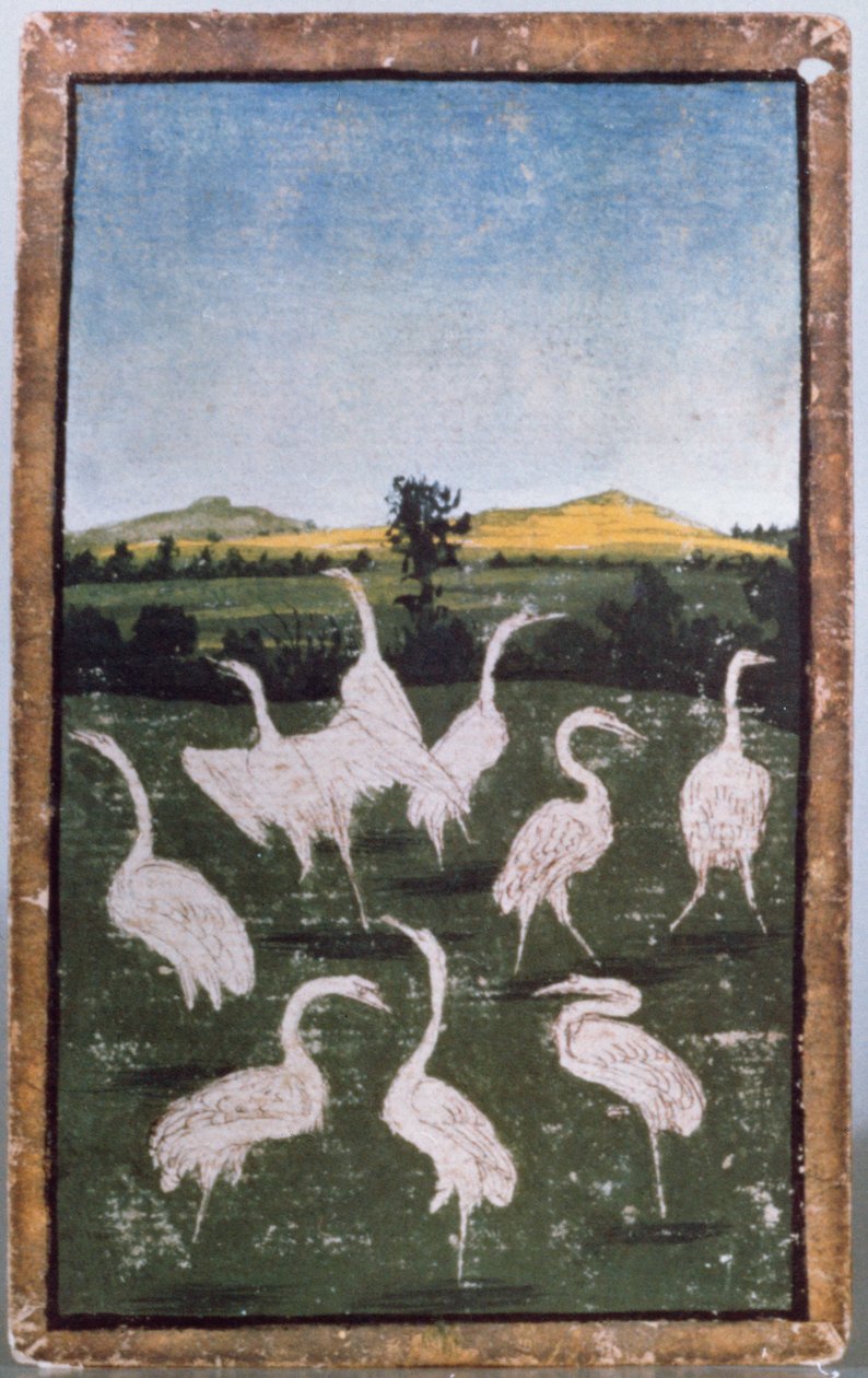 Aironi in un campo, uno di un set di carte da gioco che raffigurano scene di falconeria cortese, Area dell