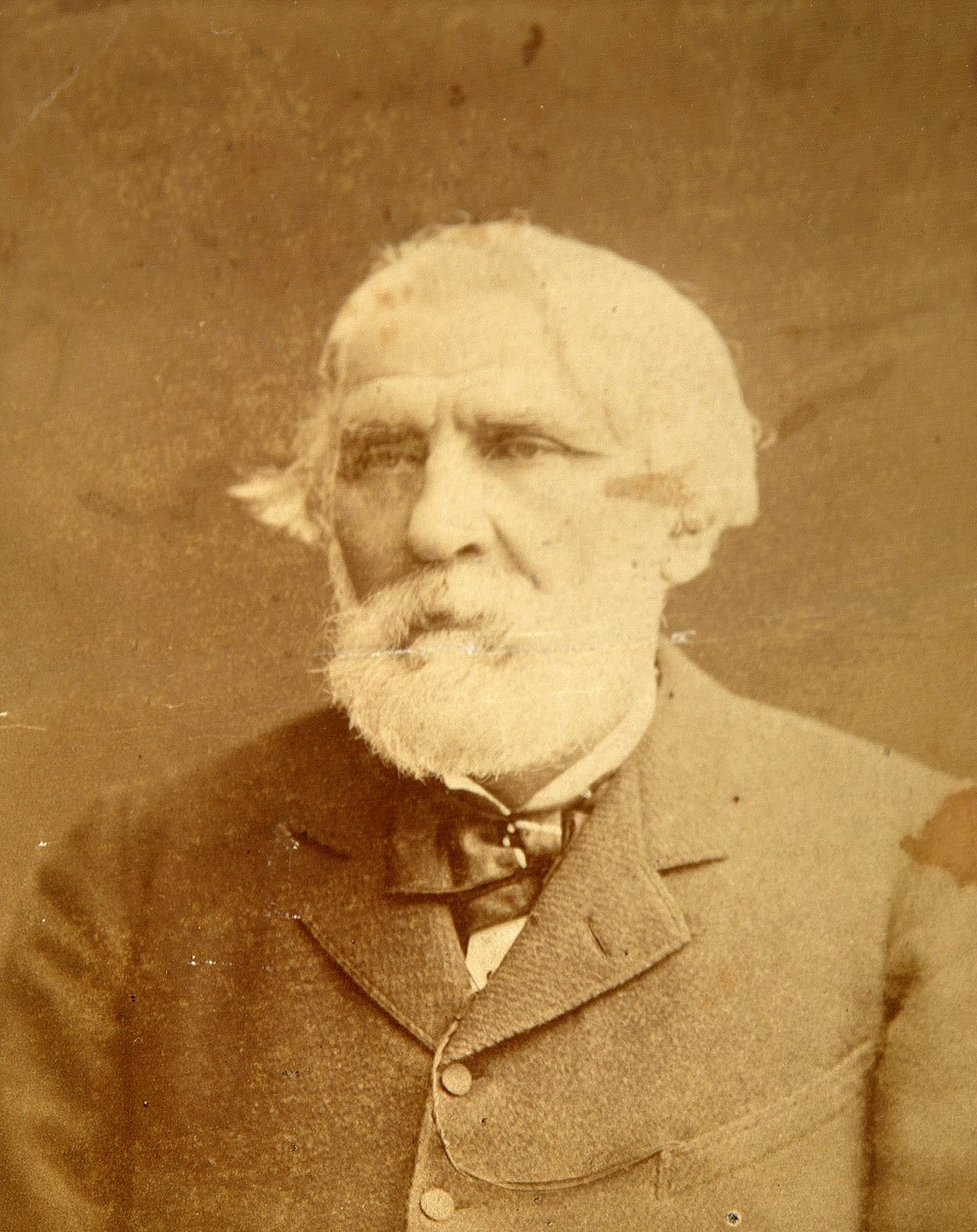 Ritratto dell