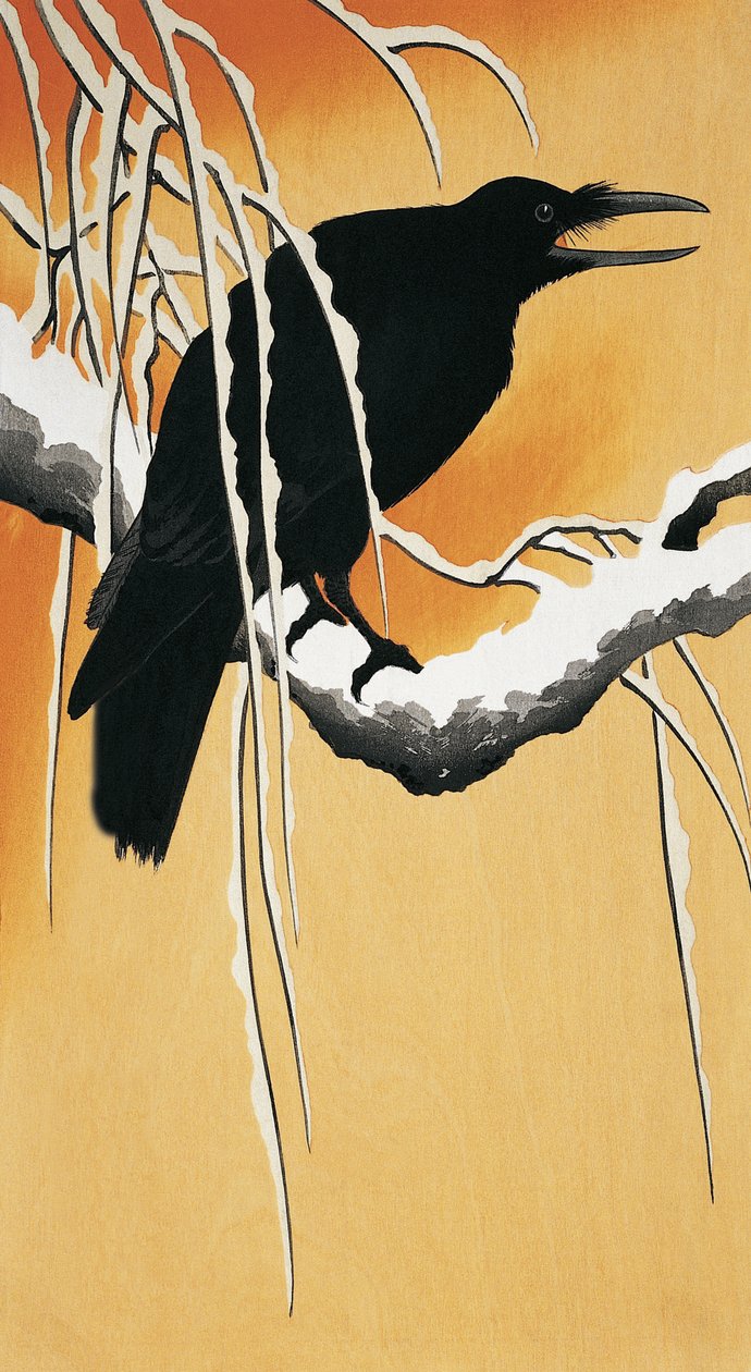 Corvo appollaiato su un ramo (Corvus corax) da Ohara Koson