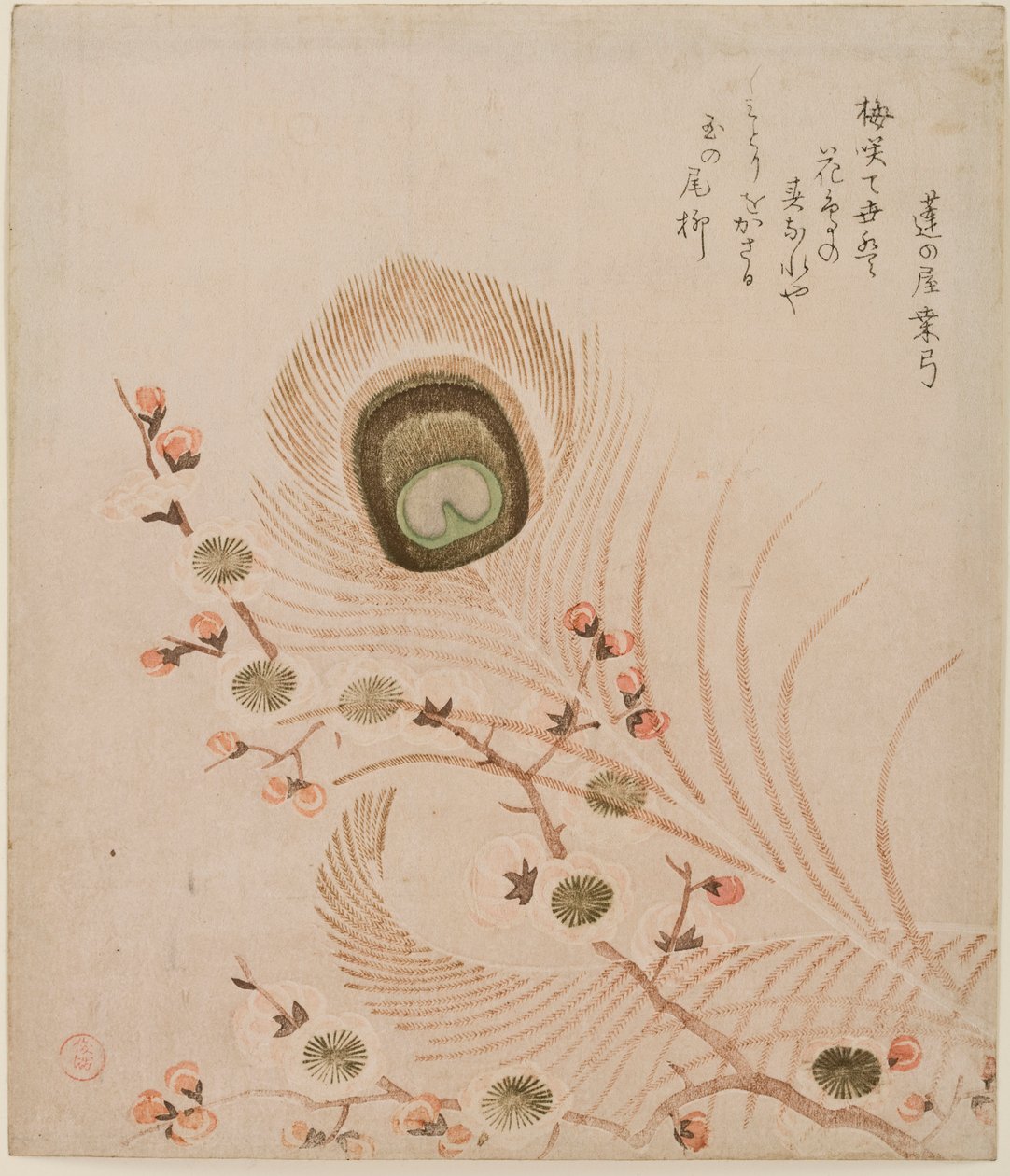 Ramo di prugna e piume di pavone, metà-fine 1810s da Kubo Shumman