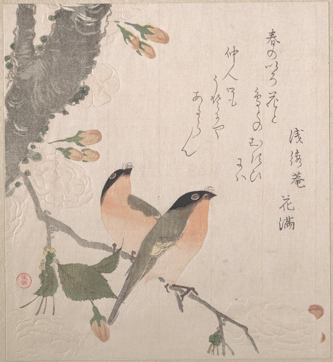 Ciuffolotti e fiori di ciliegio da Kubo Shunman