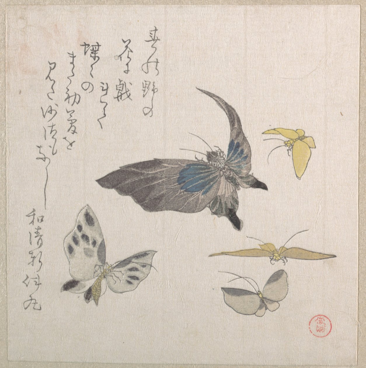 Farfalle da Kubo Shunman