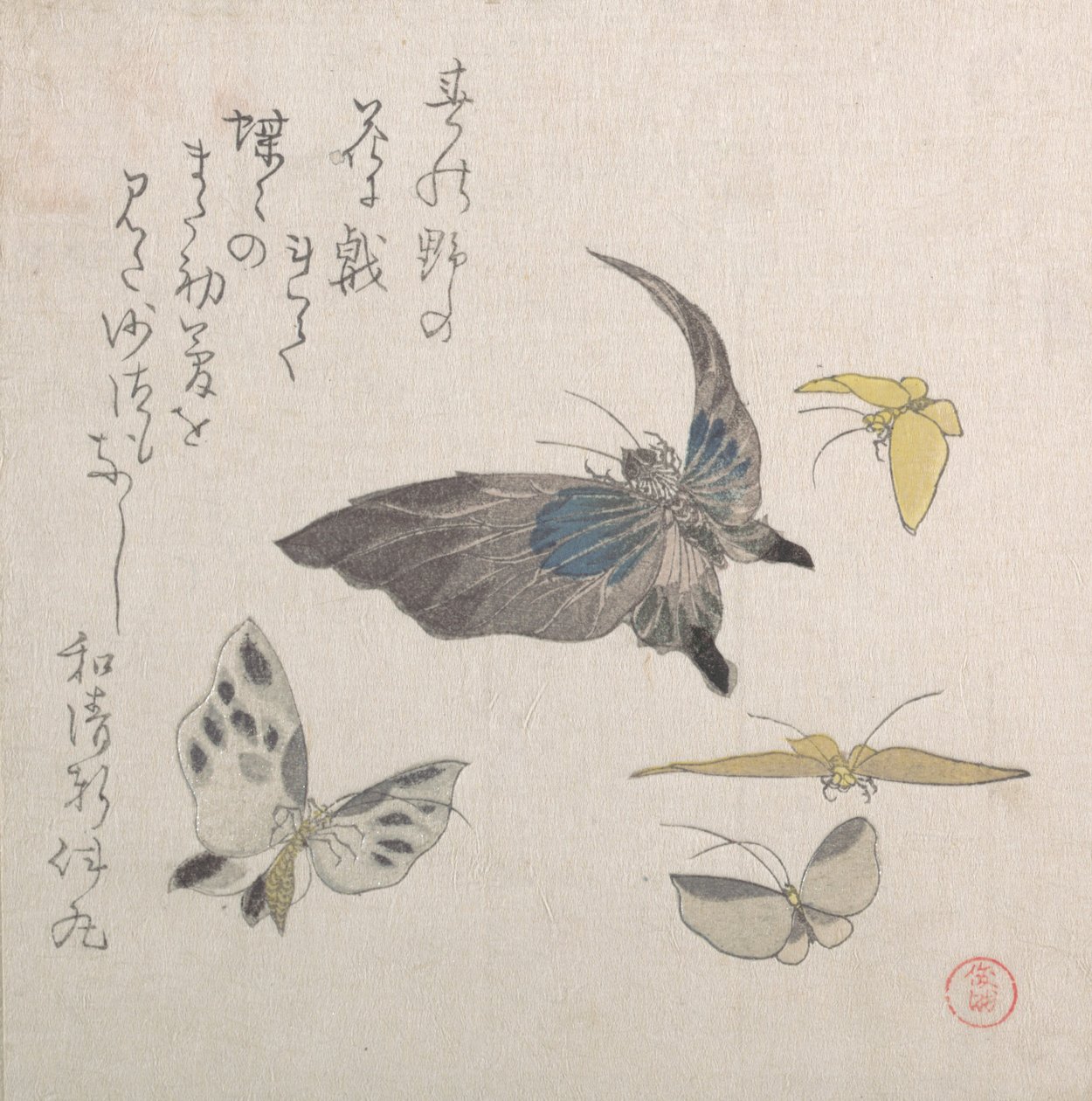 Farfalle, XIX secolo da Kubo Shunman