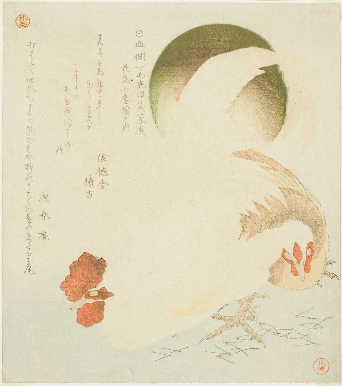 Gallo, gallina e sole nascente, dalla serie "Sette stampe di uccelli e fiori per il Circolo Fuyo di Kanuma nella provincia di Shimotsuke" da Kubo Shunman