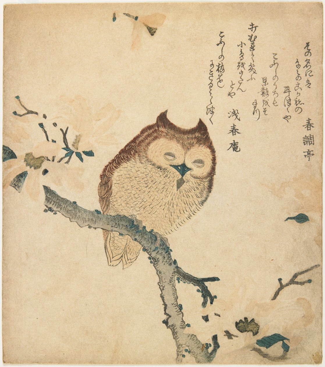 Gufo cornuto su un ramo in fiore da Kubo Shunman