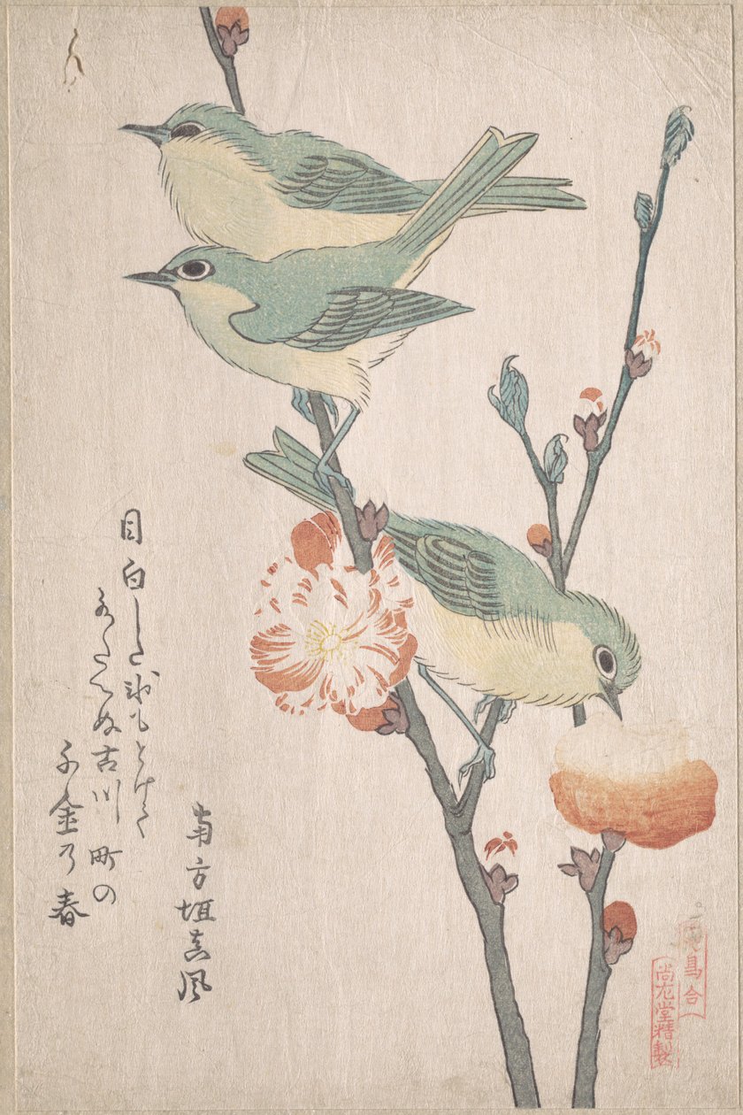 Zosteropi giapponesi su un ramo di pesco, dalla serie Una raccolta di uccelli (Tori awase), dall