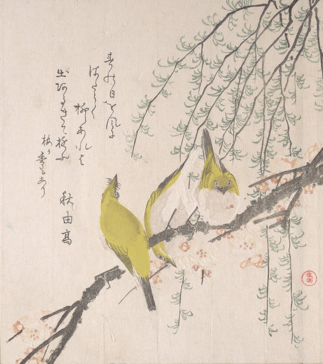 Occhi Bianchi Giapponesi con Albero di Prugna e Salice da Kubo Shunman