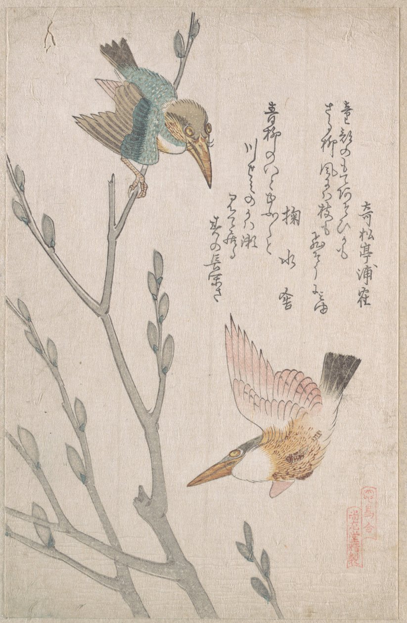 Martin pescatori e salici da Kubo Shunman