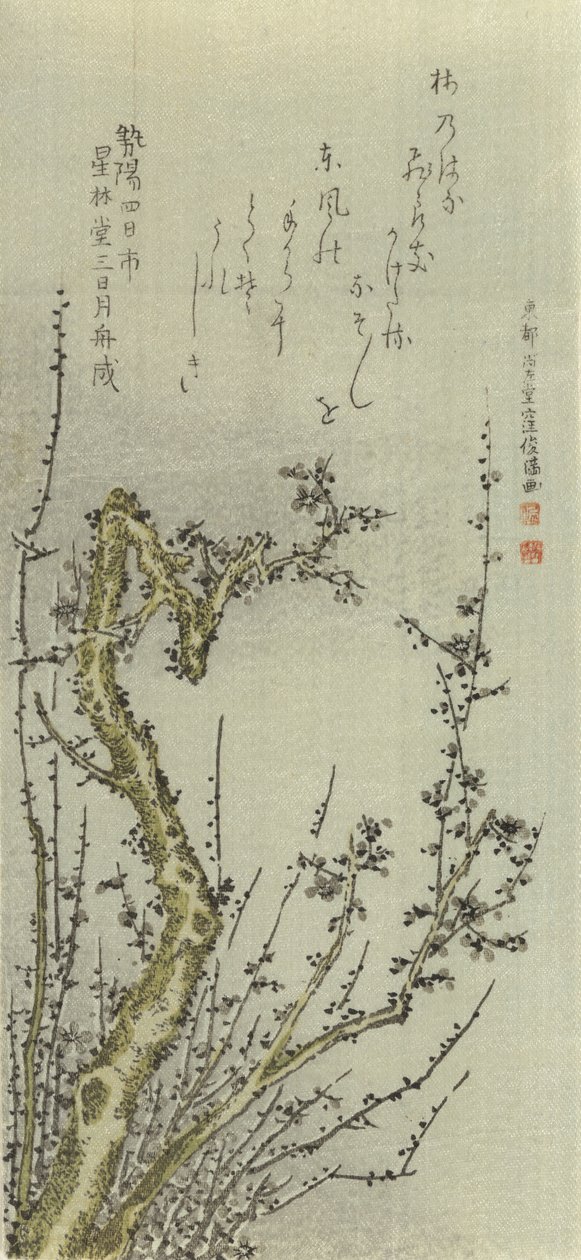 Vecchio albero di prugne da Kubo Shunman