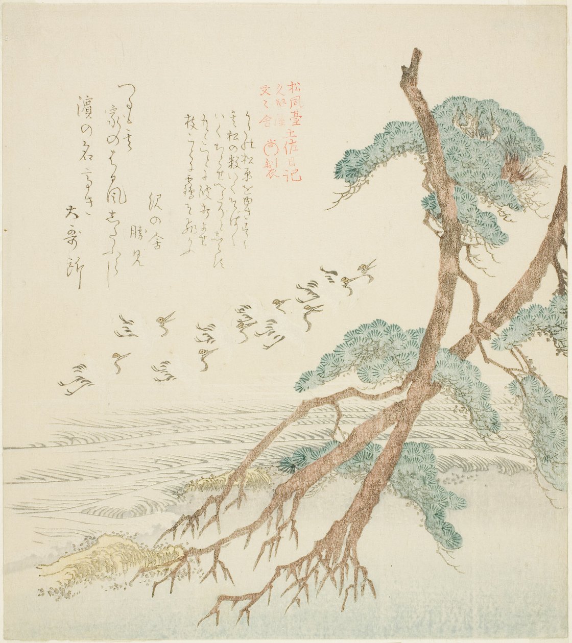 Pini, dalla serie "Diario di Tosa per lo Shofudai, Hisakataya e Bunbunsha (Shofudai Hisakataya Bunbunsha Tosa nikki)" da Kubo Shunman