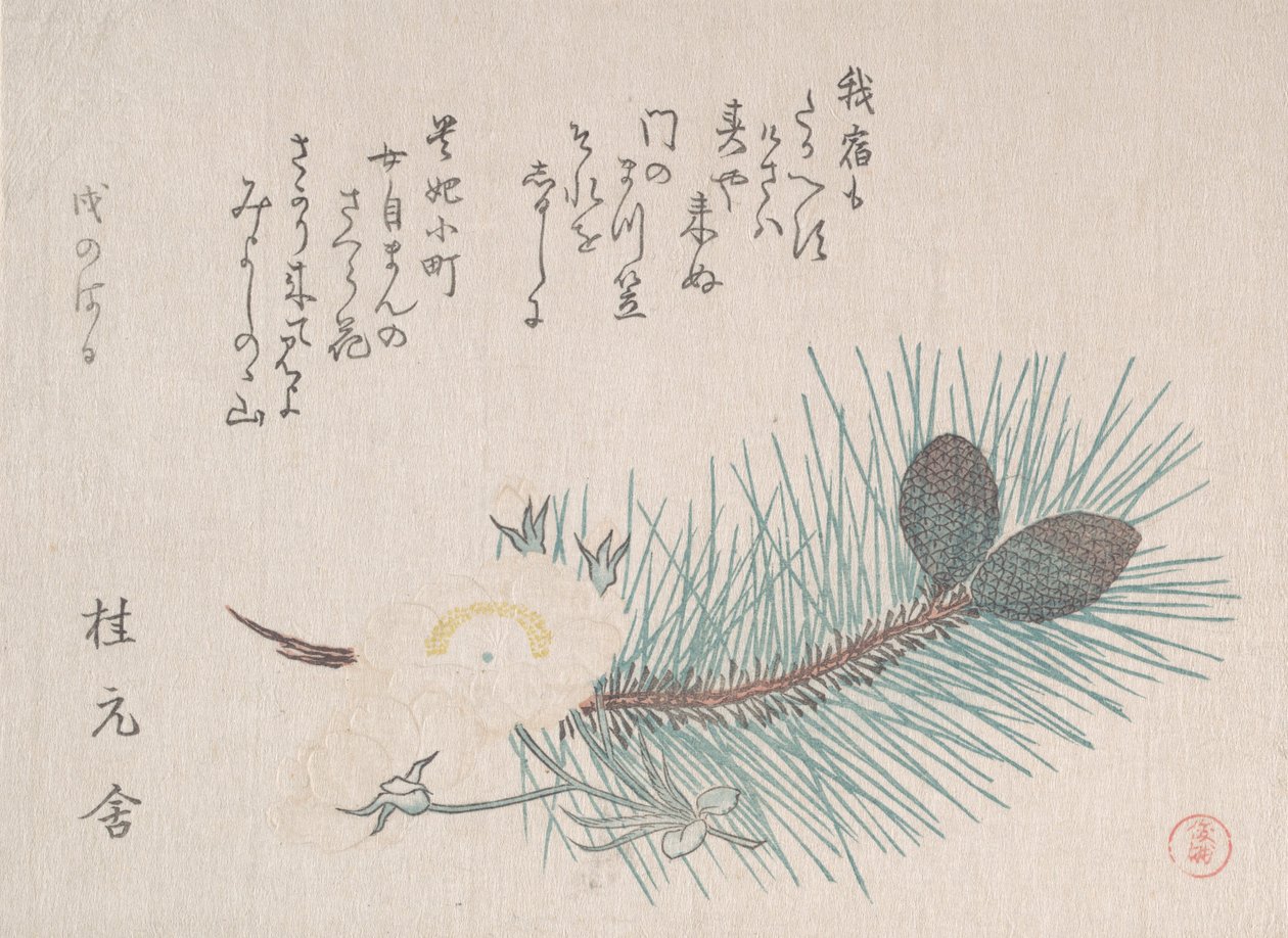 Pini e fiori di ciliegio da Kubo Shunman