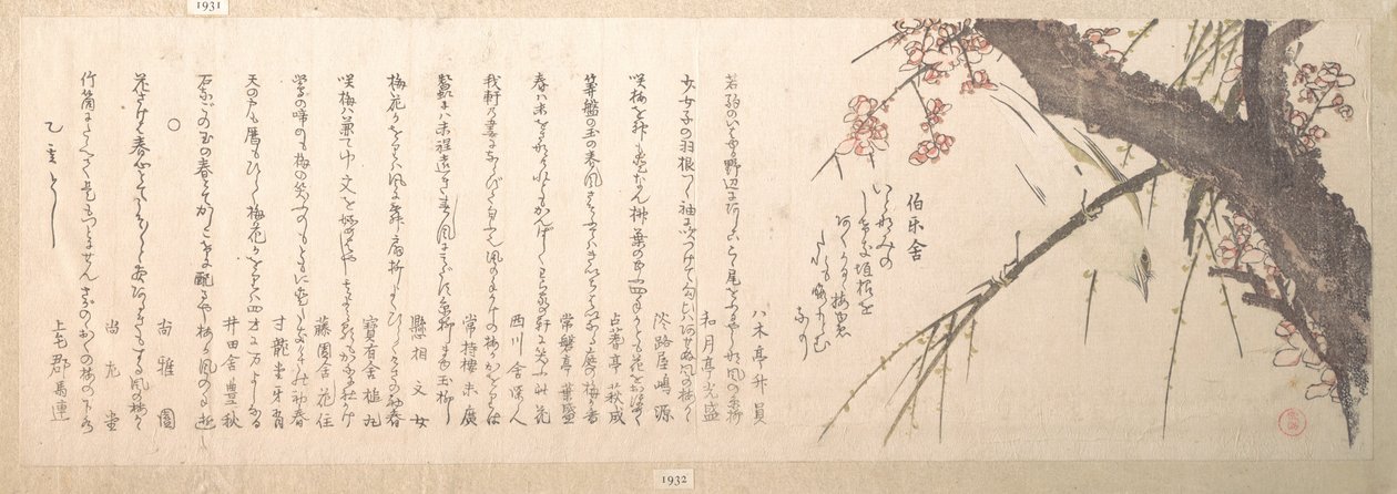 Fiore di pruno da Kubo Shunman