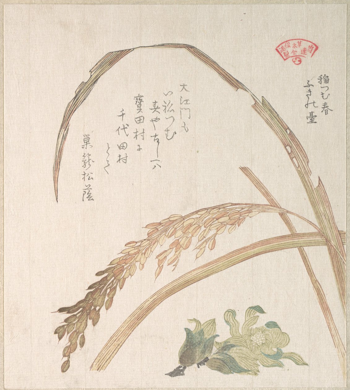 Pianta di riso e cardo oleoso da Kubo Shunman