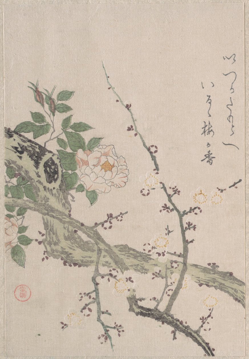 Rose e fiori di prugno da Kubo Shunman