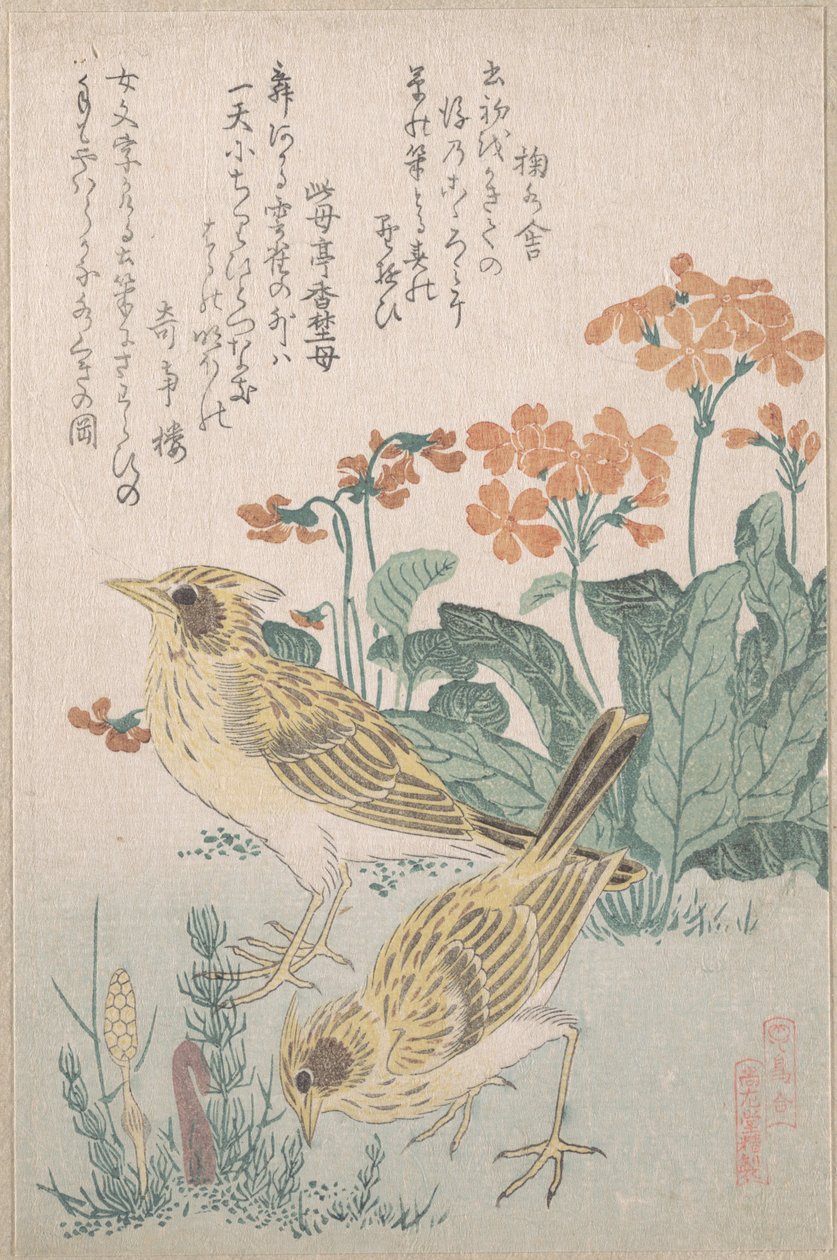 “Allodole e primule”, dalla serie “Una schiera di uccelli” (Tori awase), tratta dall’album di surimono “Pioggia di primavera” (Harusame surimono-jō, vol. 3) da Kubo Shunman