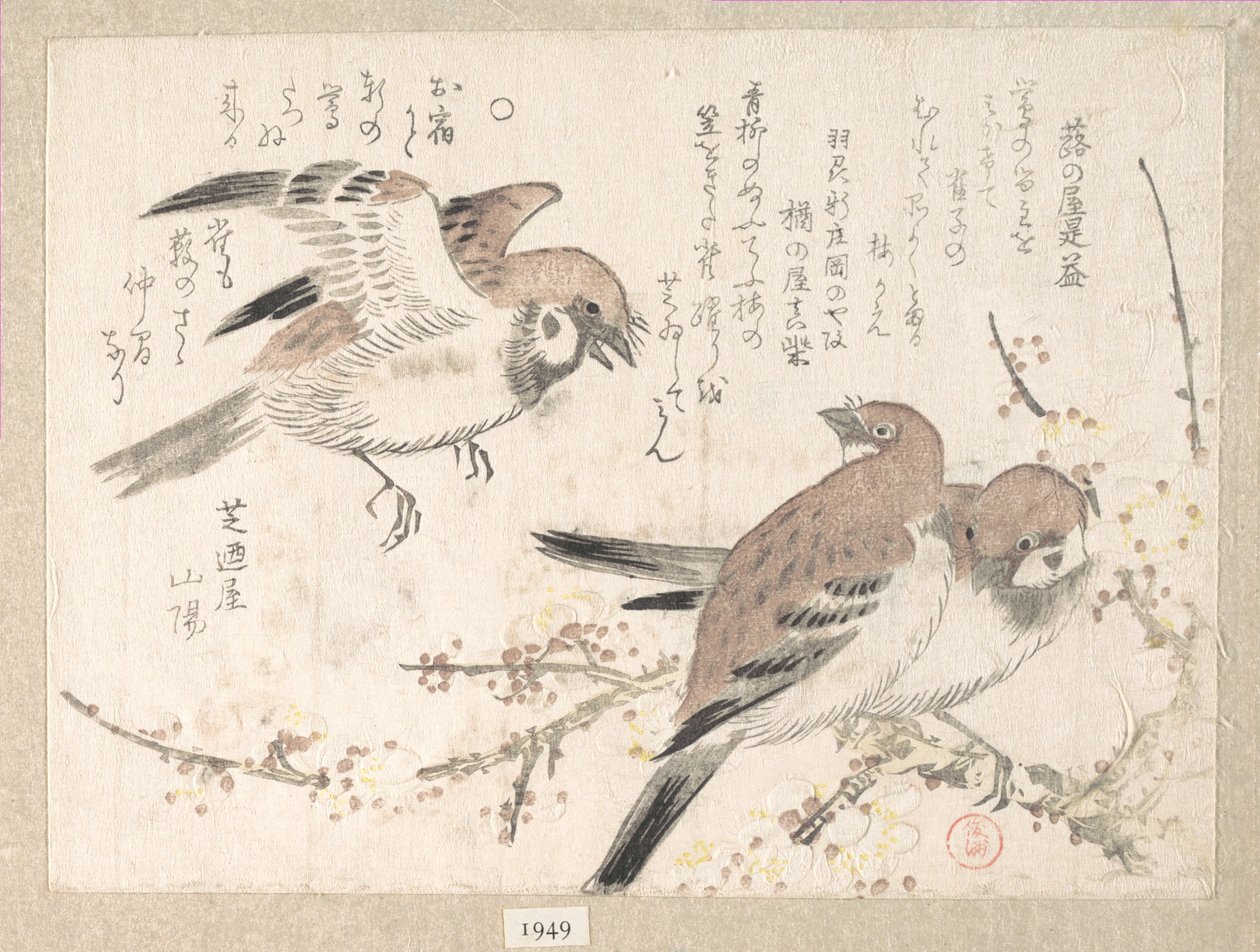 Passeri e fiori di susino da Kubo Shunman