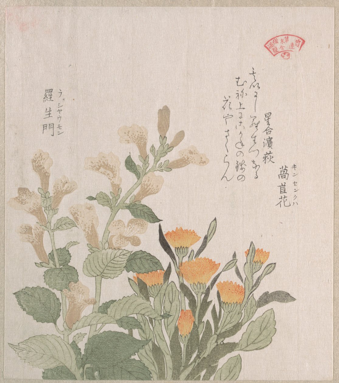 La calendula comune e i fiori di Rajoman da Kubo Shunman