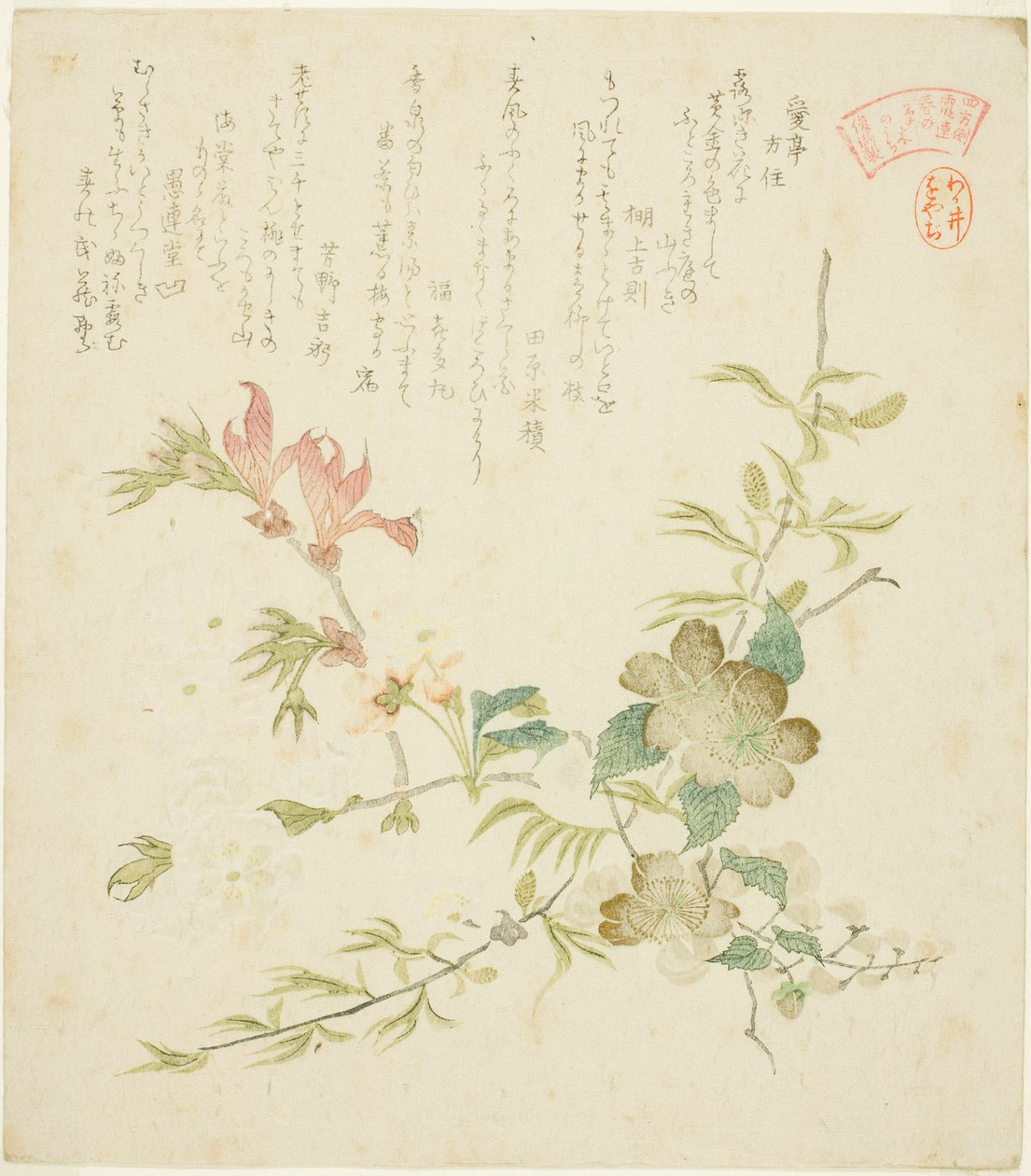 Varie fiori primaverili, dalla serie "Piante e alberi primaverili per il Circolo di Poesia Kasumi del Gruppo Yomo" da Kubo Shunman