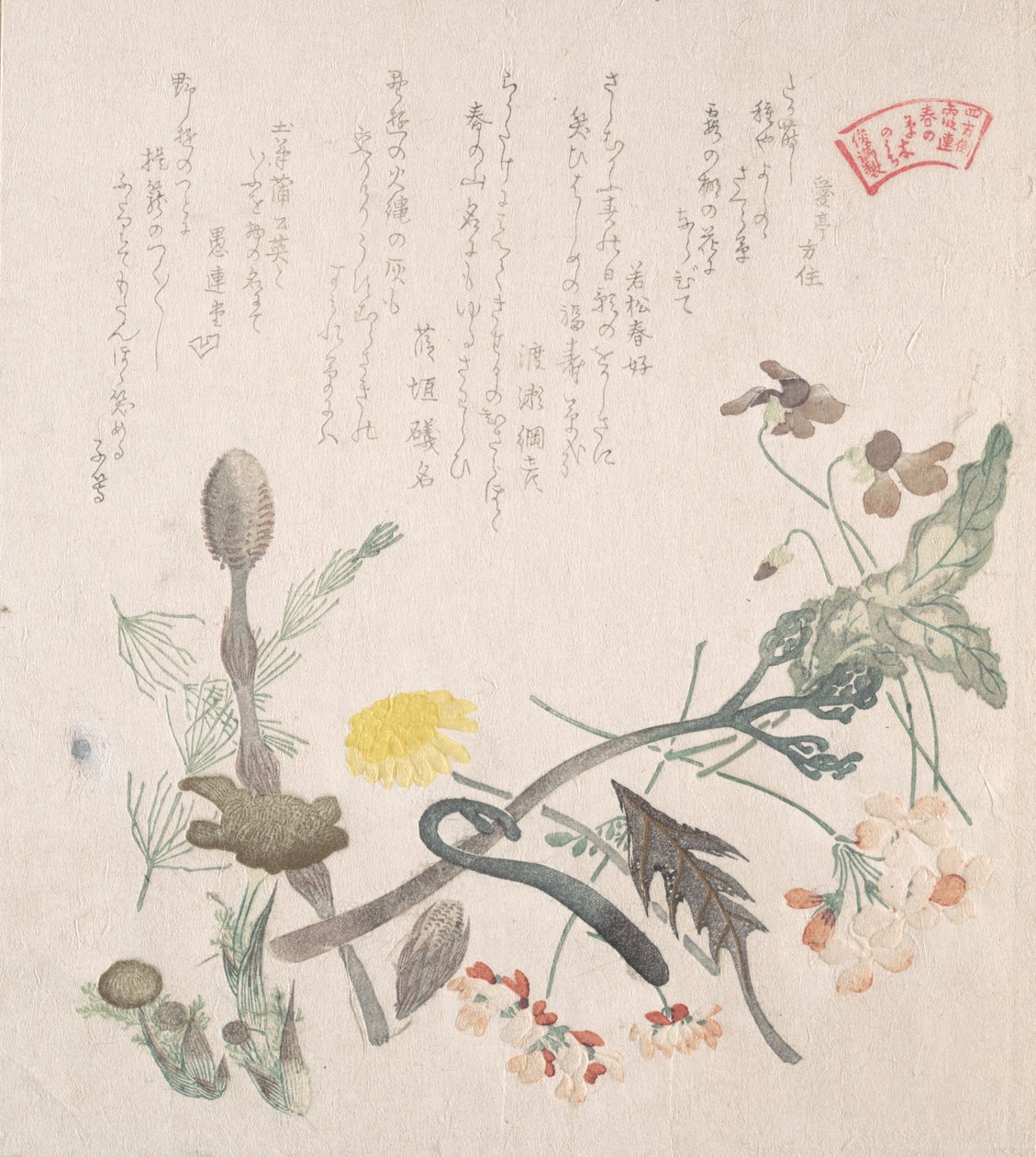Violette, primule e altri fiori primaverili, XIX secolo da Kubo Shunman