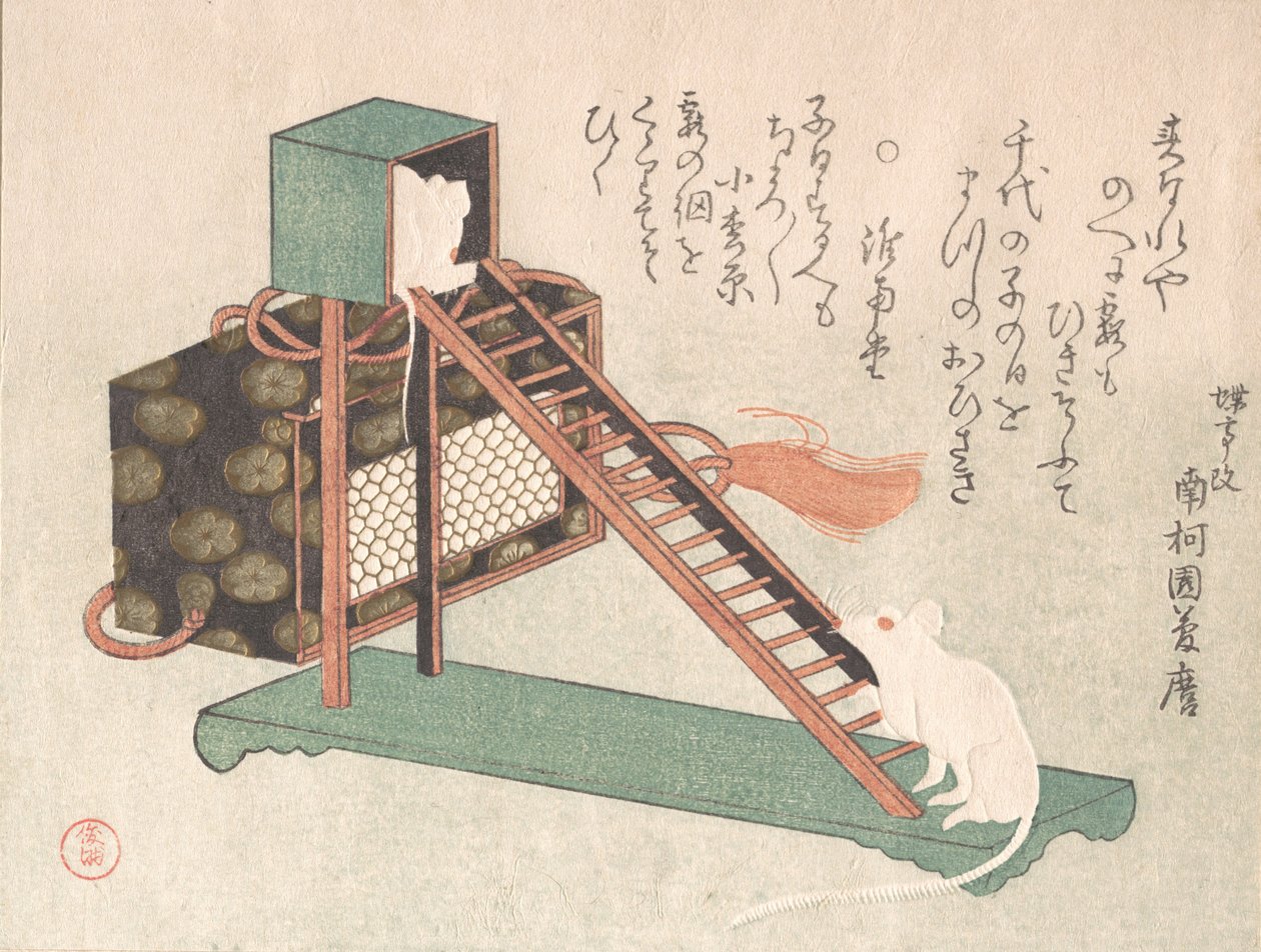 Topi bianchi che giocano, probabilmente 1816 da Kubo Shunman