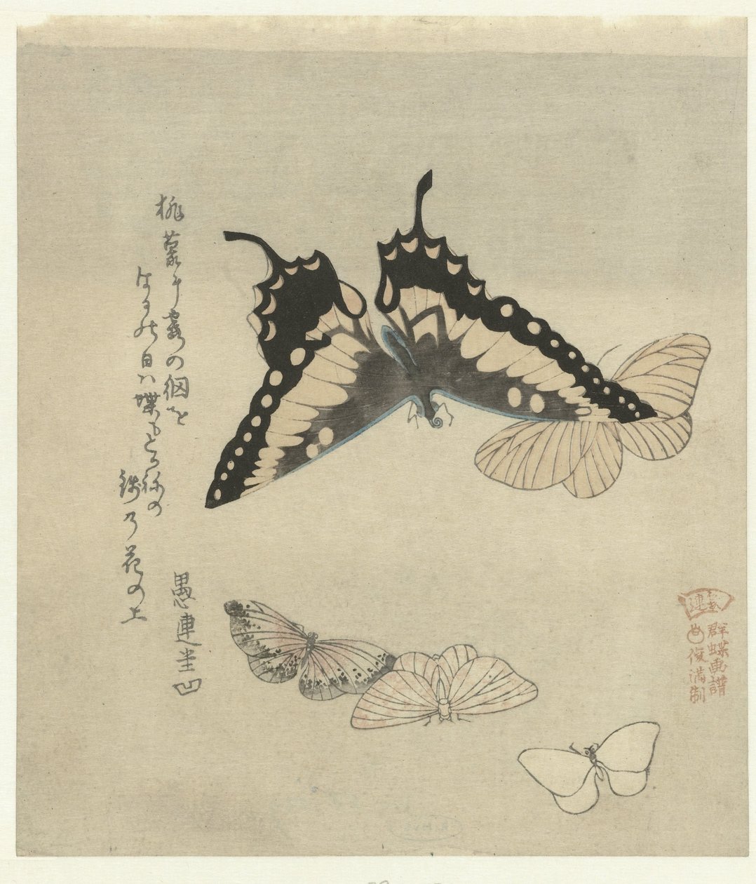 Cinque farfalle da Kubota Shunman