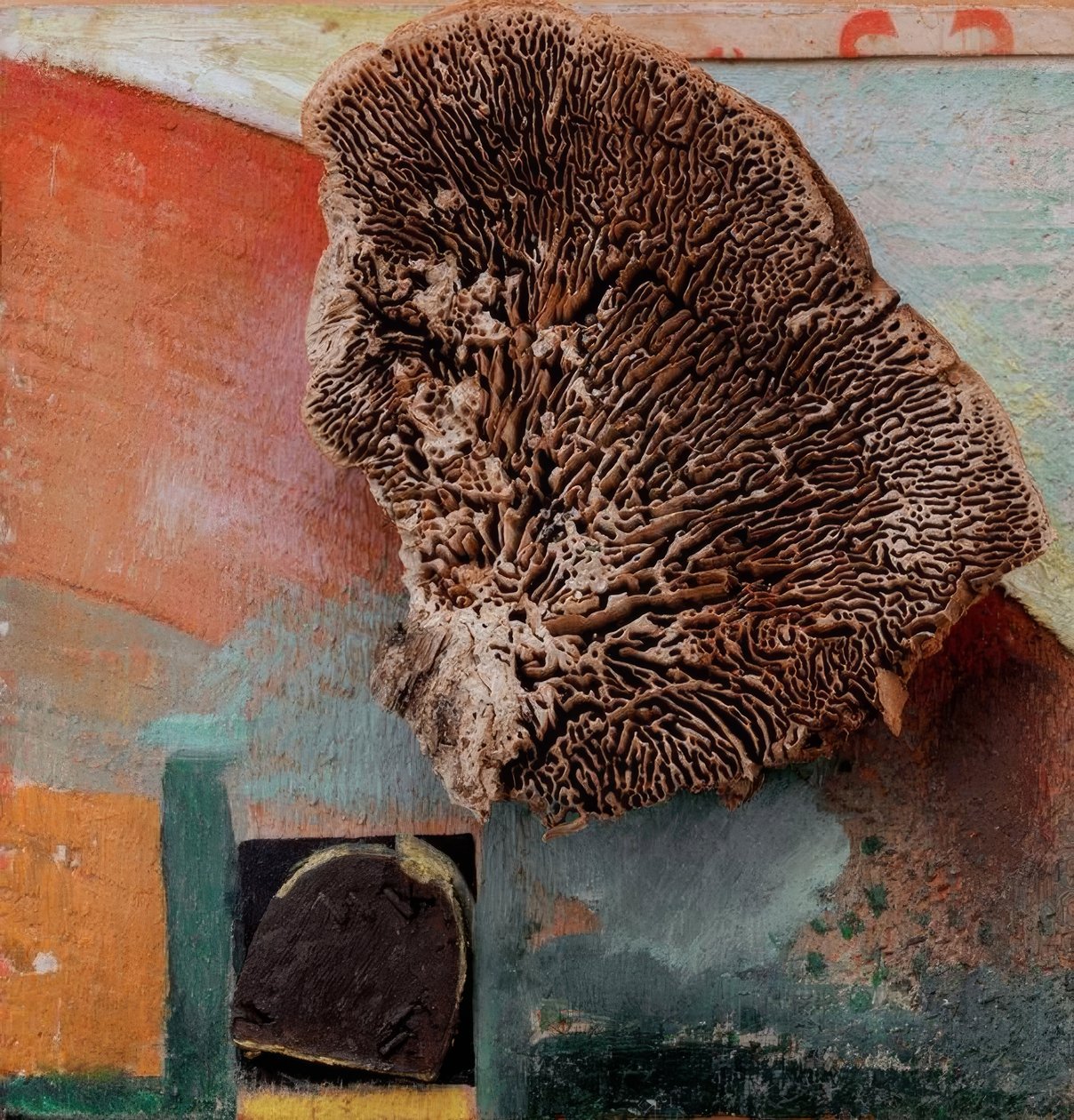 Senza titolo (Merzbild con corallo) da Kurt Schwitters