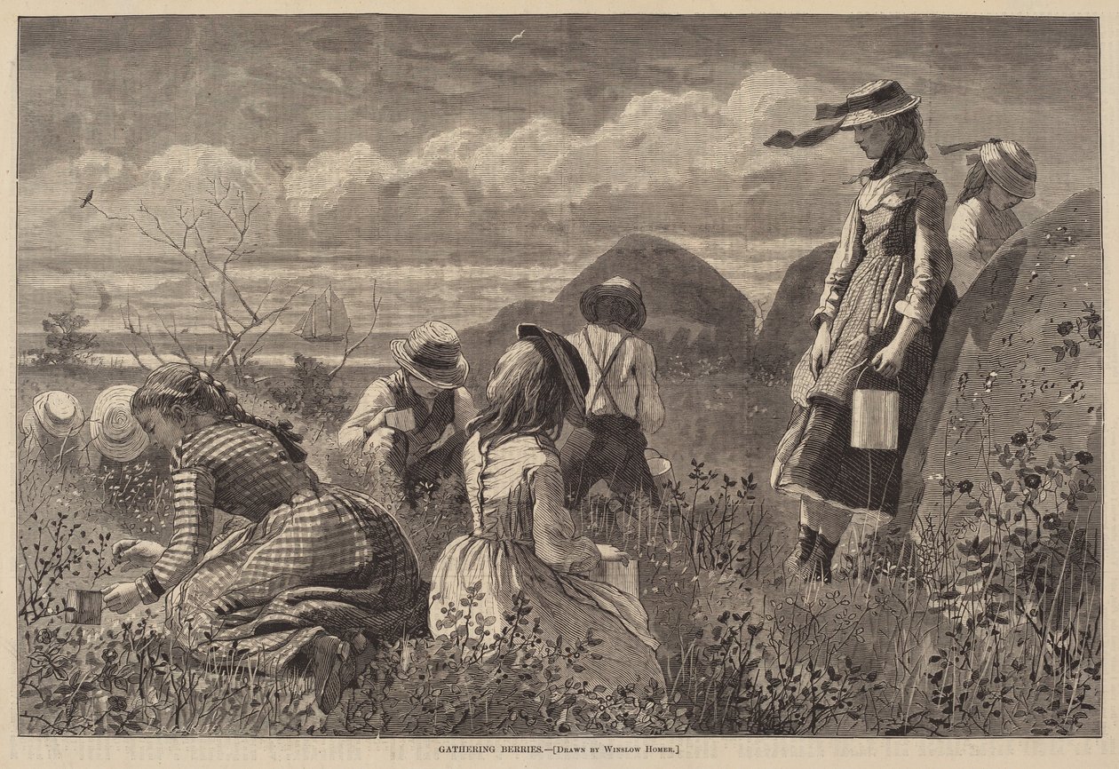 Raccolta di bacche da Lagarde after Winslow Homer