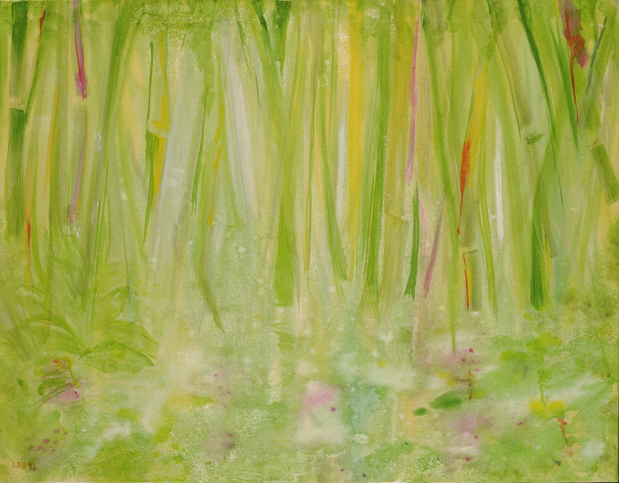 Impressione della Foresta Pluviale da Laila Shawa